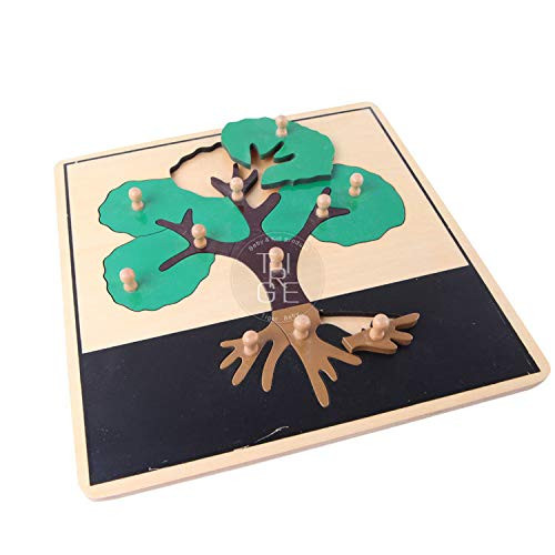 Tree Puzzle  Montessori Botany Culture Materials Educational Tools Preschool Early atHome Learning Toys