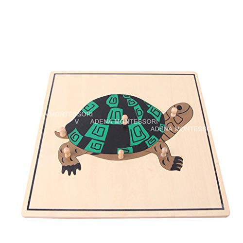 Turtle Puzzle  Adena Montessori Botany Culture Materials Educational Tools Preschool Early atHome Learning Toys