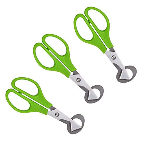 QuailEgg Cutter Scissors Kitchen Shears  Stainless Steel Pigeon Scissor Pack of 3