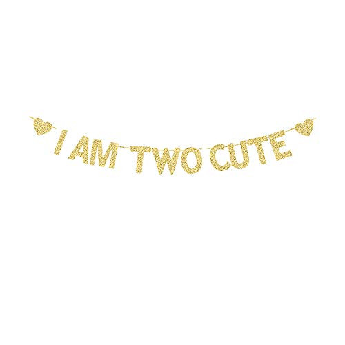I AM Two Cute Banner Little Girls Kids 2nd Birthday Party Decors Fun Gold Gliter Paper Sign Garlands I AM Two Cute Banner Little Girls Kids 2nd Birthday Party Decors Fun Gold Gliter Paper Sign Garlands
