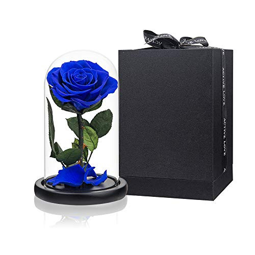 Preserved Rose Blue Real Rose in Glass Dome Eternal Roses Never Withered Flower Gifts for Female Valentines Day Mothers Day Birthday Christmas Preserved Rose Blue Real Rose in Glass Dome Eternal Roses Never Withered Flower Gifts for Female Valentines Day Mothers Day Birthday Christmas
