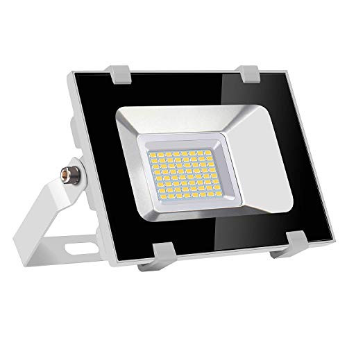 Ankishi 30w LED Flood Light3000LM Super Bright6500K Cold White IP65 WaterproofLed Flood Light Bulbs for Garden PlaygroundBasketball CourtLawn and Yard Ankishi 30w LED Flood Light3000LM Super Bright6500K Cold White IP65 WaterproofLed Flood Light Bulbs for Garden PlaygroundBasketball CourtLawn and Yard