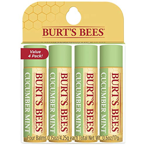 Burts Bees 100 Natural Moisturizing Lip Balm Cucumber Mint with Beeswax  4 Tubes