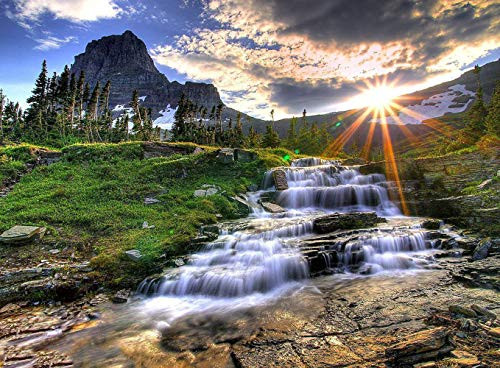 Diamond Art Kits for Adults 5D Diamond Painting Full Drill with Diamonds Crystal Rhinestone Embroidery Cross Stitch Arts Craft Canvas Home Wall Decor Round Rhinestone Paint with Diamonds