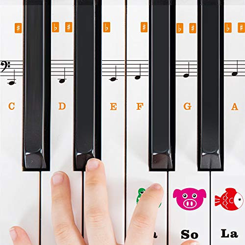 LEKATO Piano Keyboard Stickers for 887661544937 Key Transparent and Removable Piano Stickers for Piano Beginners Learning with Children Piano Stickers and Children Piano Score Stick Tool