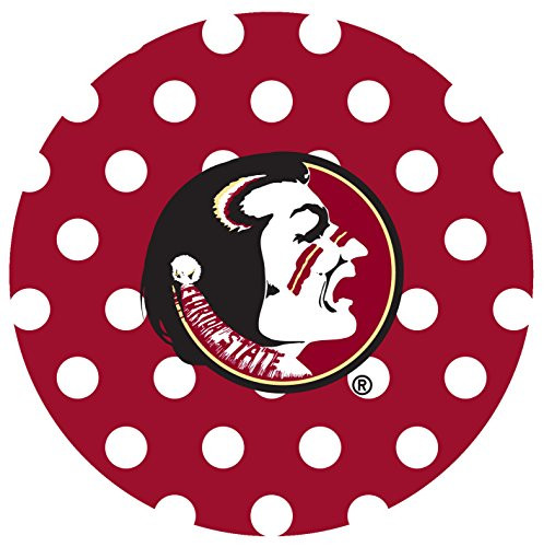 Thirstystone Stoneware Coaster Set Florida State University Dots