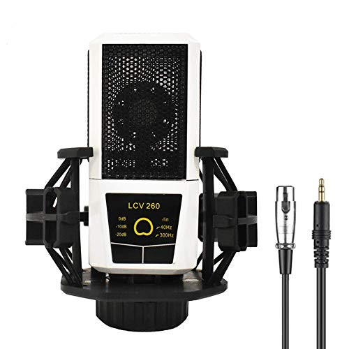 Condenser Microphone Bundle LCV260 Mic Set for Streaming Podcasting Vocal Recording Compatible with Headphones iMac PC Laptop Desktop Windows Computer