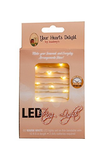 Your Heart's Delight x x 12" Warm White LED 60 String Lights Outdoor Multi-Function with Timer