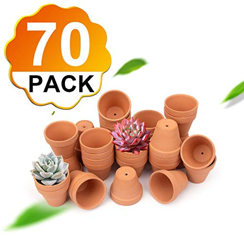 BLQH 70 Pack 28 Small Clay Pots Planter Nursery Pots Terracotta Pot Clay Ceramic Pottery Cactus Flower Pots with Drainage Hole Lawn  Garden Terra Cotta Pots Succulent Nursery Pots Crafts 70