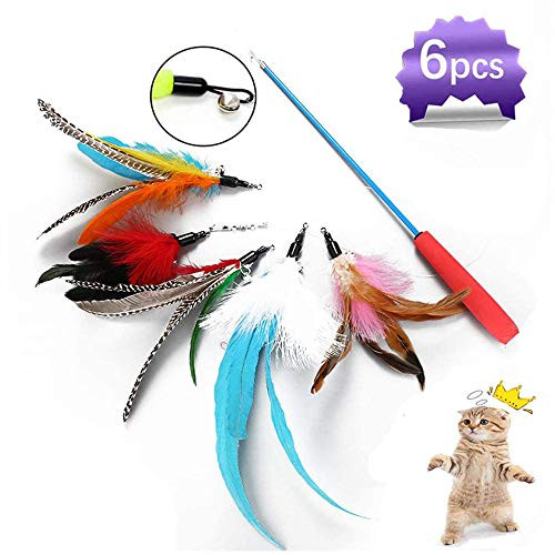 SWAXQ Feather Teaser Cat Toy Retractable Cat Wand Toy and 5PCS Assorted Teaser Refills with Bell Interactive Catcher Teaser Toy  Cat Feather Toy Funny Exercise for Indoor Cat and Kitten
