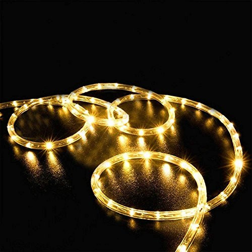 longdafeiUS Solar Rope String Lights Copper Tube Wire String Lights with 39ft12M 100LED Waterproof for Outdoor Garden Wedding Party Christmas Xmas Decoration Warm White