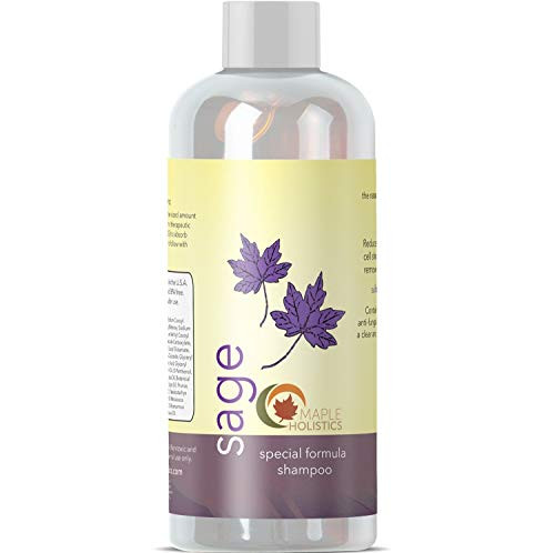 Natural Sage Shampoo for Dandruff and Dry Scalp Sulfate Free Anti Dandruff Itchy Flaky Scalp Antifungal Tea Tree Oil Rosemary Jojoba and Argan Oil for Thicker Hair Growth for Women and Men Natural Sage Shampoo for Dandruff and Dry Scalp Sulfate Free Anti Dandruff Itchy Flaky Scalp Antifungal Tea Tree Oil Rosemary Jojoba and Argan Oil for Thicker Hair Growth for Women and Men