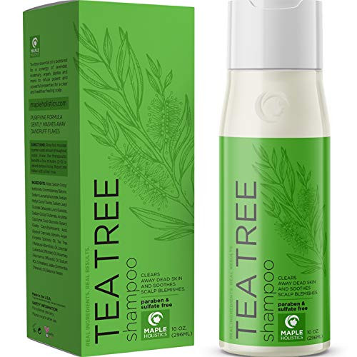 Pure Tea Tree Shampoo for Dandruff and Itchy Scalp  Sulfate Free Deep Cleansing Natural Hair Care for Men and Women  Essential Oils Rosemary Lavender  Sensitive Skin and Color Treated Hair  10 oz