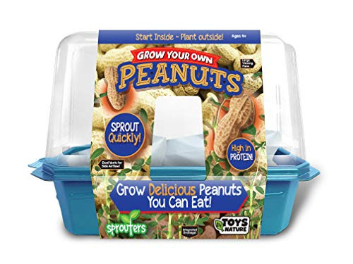 Unique Gardener Grow You Own Peanuts Kit  Delicious Healthy Peanuts You Can Actually Eat High in Protein  Includes Everything Needed to Sprout This Delectable Treat