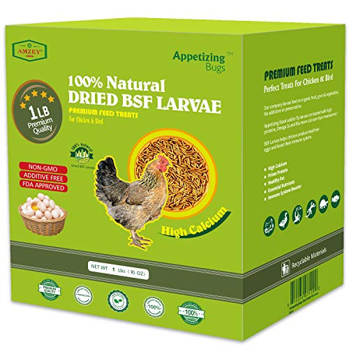 Dried Black Soldier Fly LarvaDried Mealworms  1 LBS  100 Natural BSF Larvae  85XMore Calcium Than Mealworms  High Calcium Treats for Chickens Birds Reptiles Hedgehog Geckos Turtles 1 LBS