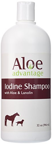 Aloe Advantage Aloe Iodine Shampoo 32Ounce