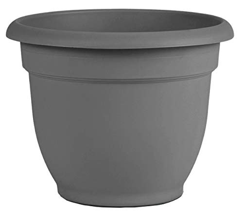 Bloem AP08908 Ariana Self Watering Planter 8 Charcoal Gray