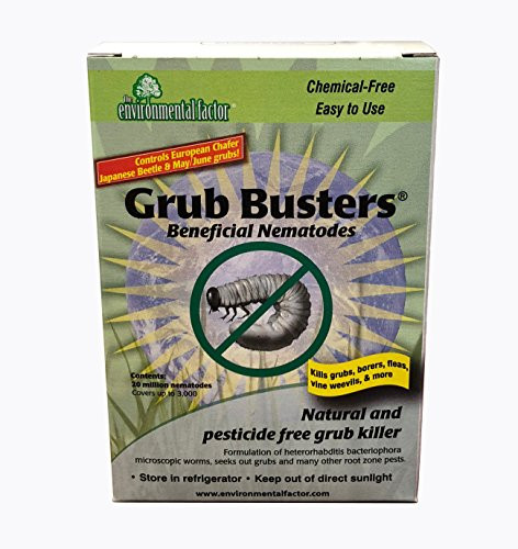 10 Million Beneficial Nematodes Hbacteriophora  Nema Globe Grub Buster for Pest Control  New No Refrigeration Required Formula