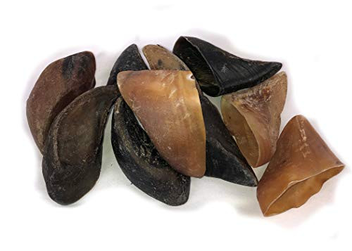 Downtown Pet Supply USA Cow Hooves Dog Treat Long Lasting Dental Hoof Chews 100 Natural Free Range Beef Plain 10 Pack