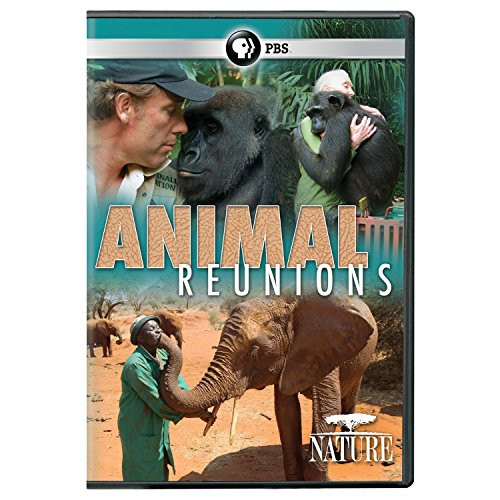 NATURE Animal Reunions DVD