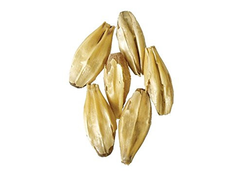 Brewmaster  GR450C Malt  Carapils  1 lb