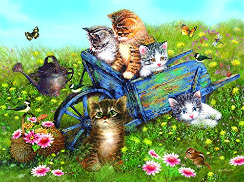 SunsOut Kittens on a Field Trip 1000 Pc Jigsaw Puzzle