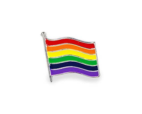 Fundraising For A Cause Gay Pride Rainbow Flag Pin  Support LGBTQ Causes 1 Pin  Retail