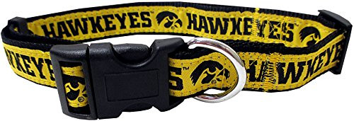Pets First Collegiate Pet Accessories Dog Collar Iowa Hawkeyes Large