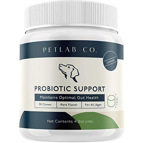 Petlab Co Probiotic Chew for Dogs  Proven Blend of Prebiotics  Pumpkin extracts  Natural Digestive Enzymes for Diarrhea  Upset Stomach Relief  Constipation  Gas  Supports Healthy Digestion