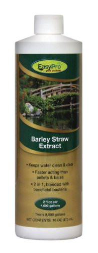 EasyPro BSE16 Liquid Barley Straw Extract for Ponds 16Ounce