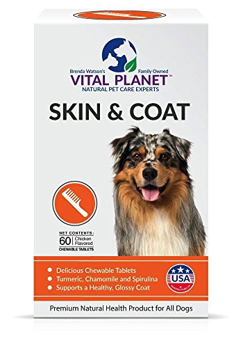 Vital Planet Skin and Coat Chewable Tablets  Omega 3 Fatty Acid Supplement for Dogs  Ultimate Support for a Healthy Coat  60 Chewable Tablets