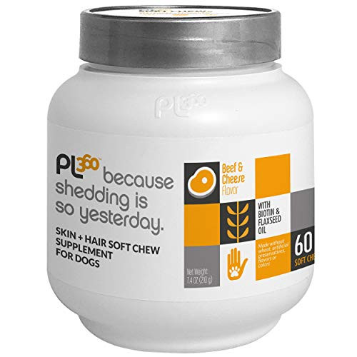 PL360 Skin  Coat Care Soft Chew 60ct