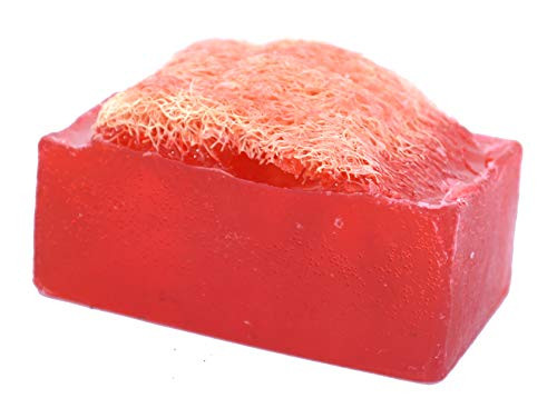 Luffa Soap Bar 45oz  Verbena and Berries  Exfoliating Soap Handmade Glycerin soap  Falls River Soap