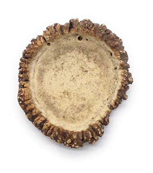 Perfect Pet Chews Elk Antler Burr Dog Chew Grade A All Natural Organic and Long Lasting Treats Made from Naturally Shed Antlers in The USA Mega Treat Perfect Pet Chews Elk Antler Burr Dog Chew Grade A All Natural Organic and Long Lasting Treats Made from Naturally Shed Antlers in The USA Mega Treat