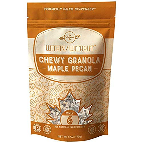 Maple Pecan Grain Free Granola by WithinWithout  Certified Paleo and Keto Diet Friendly Vegan Granola  Naturally Gluten Free Low Carb Snack  No Refined Sugar