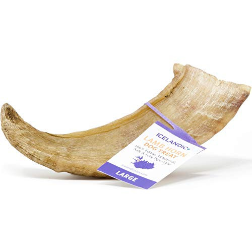 Icelandic Lamb Horn Dog Chew Treats Large