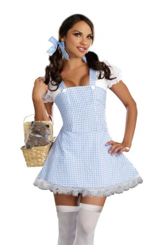 Dreamgirl Gingham Dress Light Blue Large