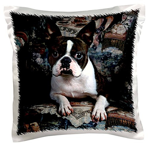 3dRose pc_3112_1 Boston Terrier Philippe-Pillow Case, 16 by 16"