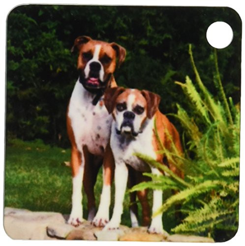 3dRose Two Boxer dogs - US05 ZMU0055 - Zandria Muench Beraldo - Key Chains, 2.25 x 4.5 inches, set of 2 (kc_88772_1)