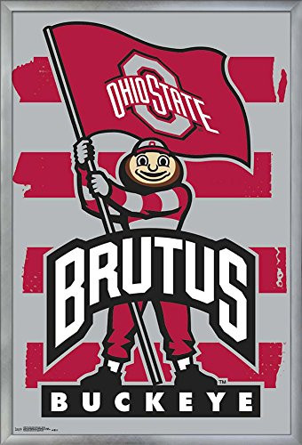 Trends International the Ohio State UniversityBrutus Wall Poster 2425 x 3575 Multicolor