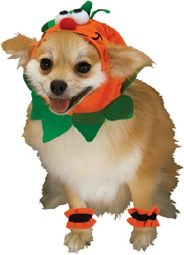 Rubies Pet Costume Small Pumpkin Headpiece with Cuffs