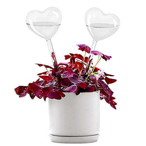 KiKiHeim Plant Watering Globes Automatic Plant Waterer Hand Blown Clear Glass Self Watering Bulbs for Indoor Plant 2 Hearts KiKiHeim Plant Watering Globes Automatic Plant Waterer Hand Blown Clear Glass Self Watering Bulbs for Indoor Plant 2 Hearts