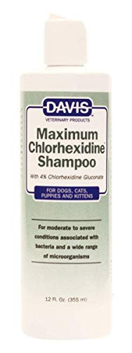 Davis Maximum Chlorhexidine Pet Shampoo 12 oz
