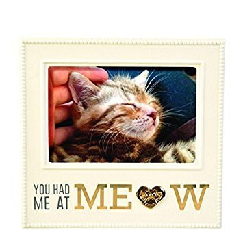 You Had Me at MEOW! - Gift Boxed Picture Frame