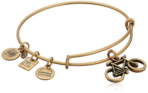 Alex and Ani Bike Rafaelian Gold Bangle Bracelet