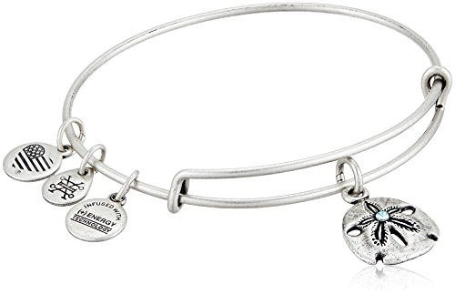 Alex and Ani Sand Dollar III Rafaelian Silver Bangle Bracelet