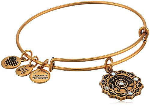 Alex and Ani Mother of the Groom Charm Bangle Rafaelian Gold Expandable