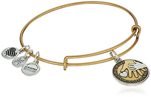 Alex and Ani Womens Hand in Hand II Two Tone EWB Bangle Bracelet Rafaelian Gold Expandable