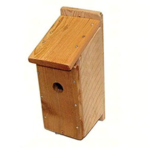 Songbird Essentials DIY Build a Birdhouse Bluebird Kit Made of Cedar Wood Great Project for Kids