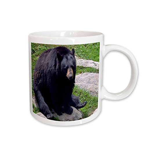 3dRose Black Bear North Carolina Bear Ceramic Mug 11Ounce